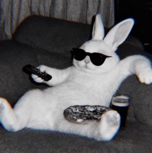 Profilfoto
